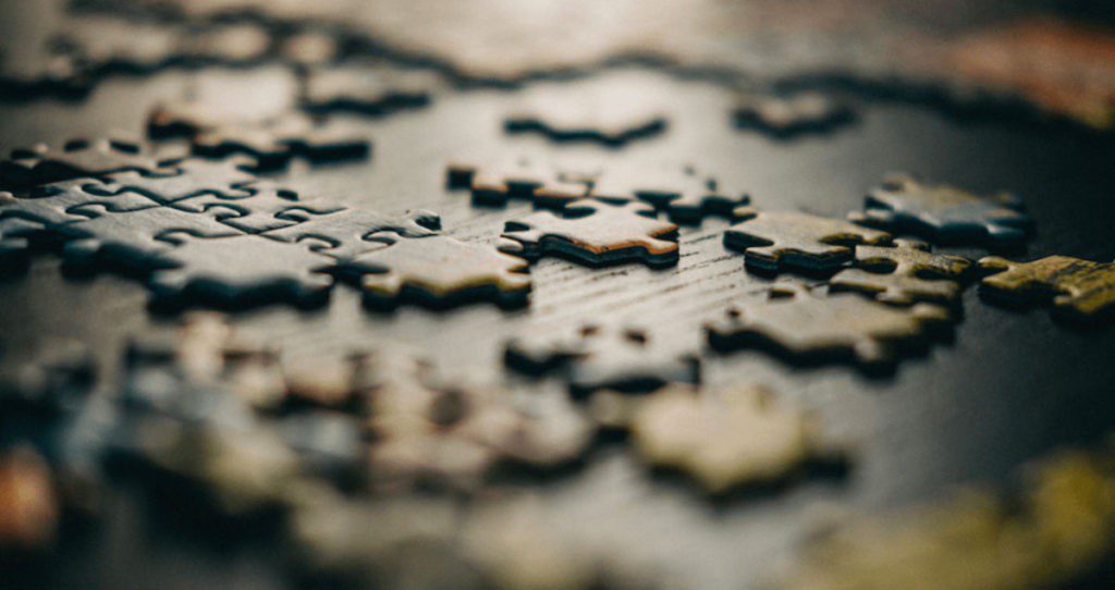 What Makes Successful Problem Solvers Unique?