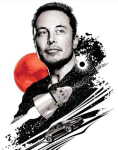 Elon Musk Bee and Turtle Effect