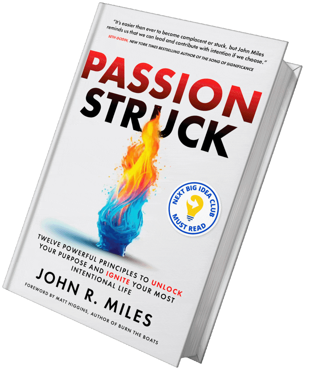 passion struck book pso 1