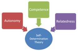 Figure that describes the three components of self-determination theory by Richard Ryan and Edward Deci